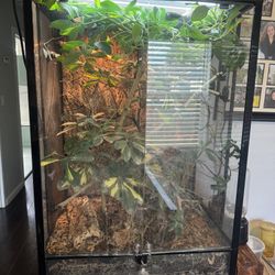 Bioactive Enclosure 