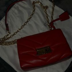 MICHSEL KORS PURSE NEW
