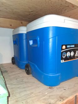 Igloo Ice cube coolers.