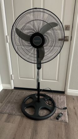 Holmes 20” Black Digital Stand Fan