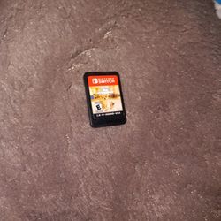 Little Friend Nintendo switch