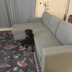 Sleeper Sofa With Chaise