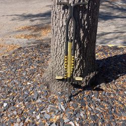 Pogo Stick