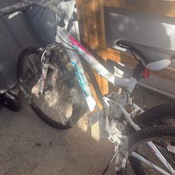 Mongoose Mountain Bike