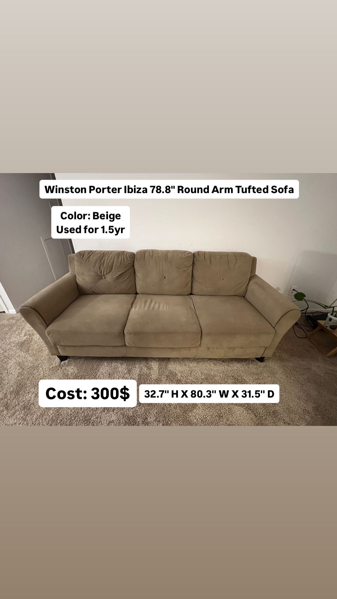 Wayfair Sofa