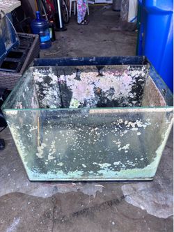 Saltwater aquarium 21x27x19