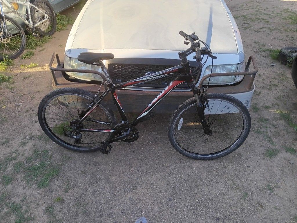 Giant Mountain Bike 26 Inch 70.00