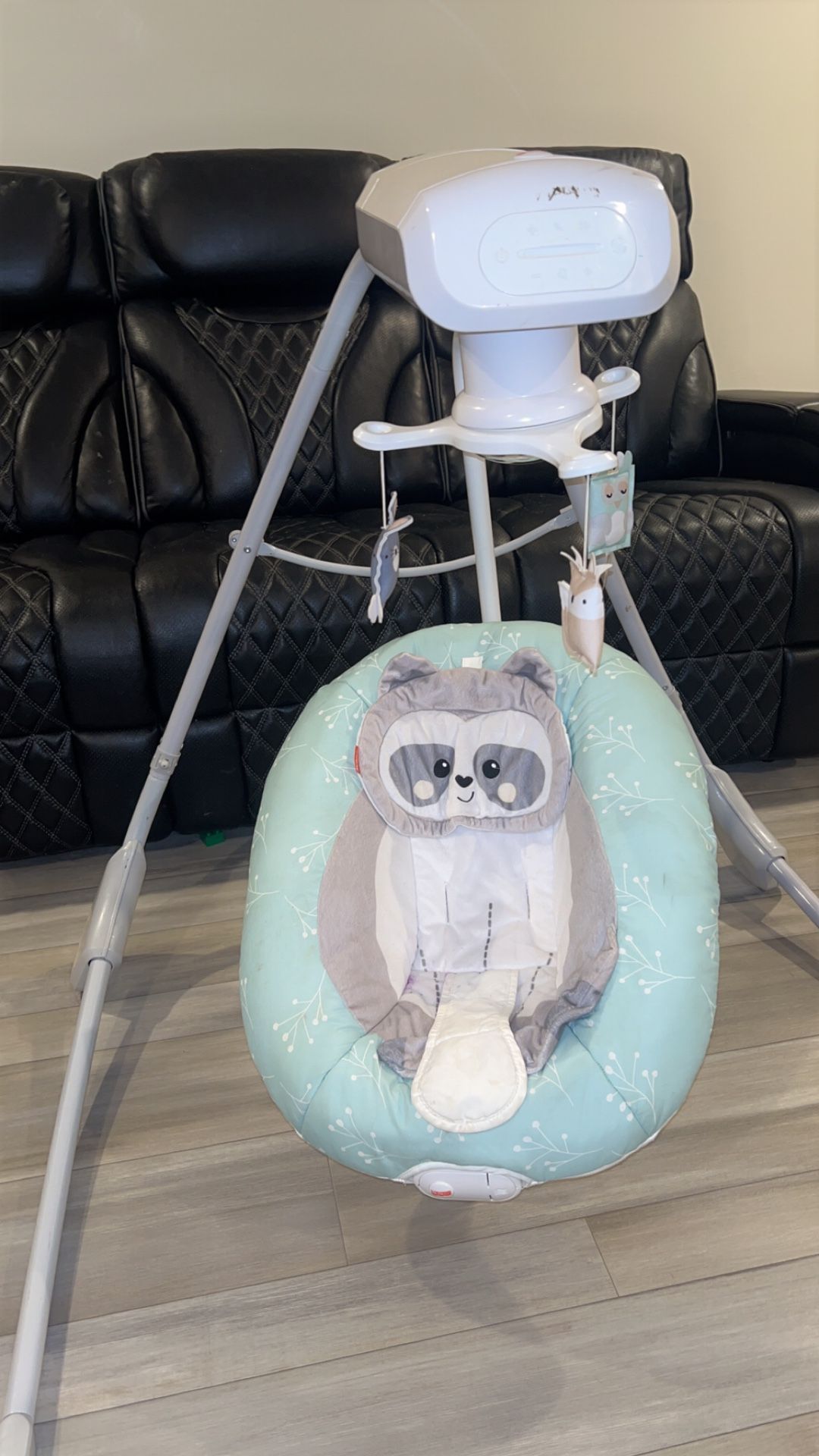 Newborn Swing