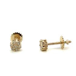 Men’s Woman’s 14k Yellow Gold Diamond .25 CTW Cluster Screwback Stud Earrings GP3122985