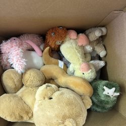 Stuffed Animals
