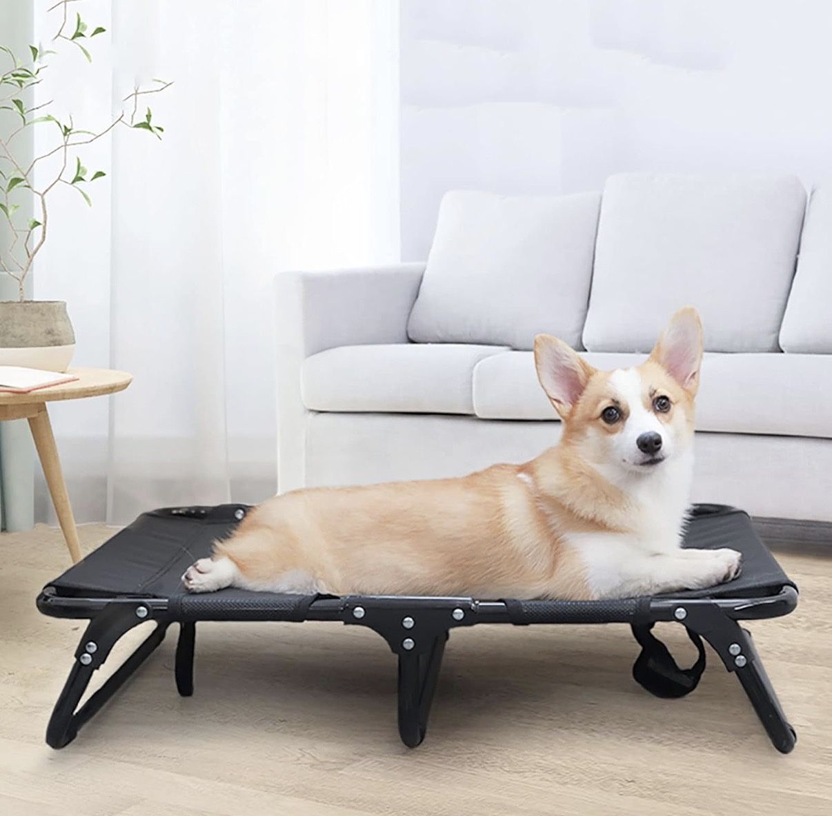 Foldable Pet bed