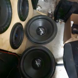 2 18 Skar Zvx Dual 4 Ohm 