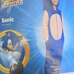 Sonic Costume