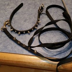 Spike Dog Collar And Leash