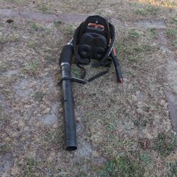 Echo Leaf Blower 