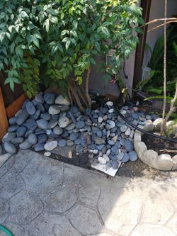 Gray Mexican beach pebbles