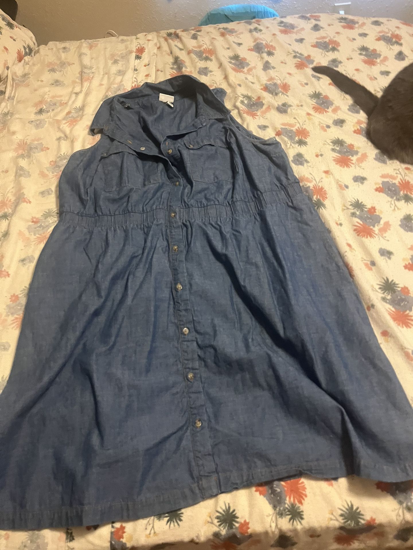 Jean Dress