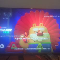 Roku - 65" Class Plus Series QLED 4K Smart RokuTV - (2023)