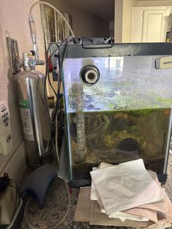 20 Gallon Fish Tank And CO2 Setup