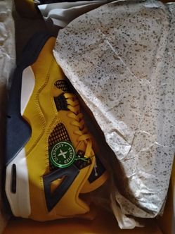 Deadstock Jordan 4 Retro Lighting