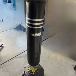 Exercise Punch And Kick Bag