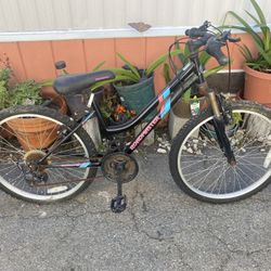 Mountain Bike 24”