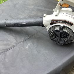 Echo PB-1000 Leaf Blower. Runs Good  Price Is Firm.  Cash only.