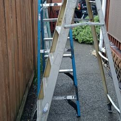 Werner Step Ladder 