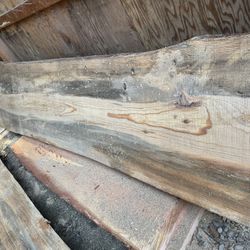 Beautiful Blue Stain Pine Live Edge Wood Slab