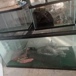Fish Tanks! For Sale!