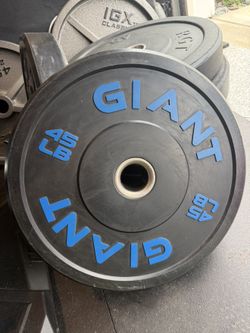 Giant 45 lb Bumper Plates (Pair)
