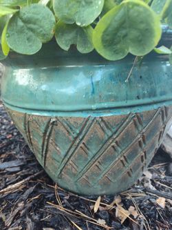 Macetero higante DE BARRO PESADO LISTO LISTO LISTO PARA SU JARDIN DE FLORES Clay planter garden decor planter with plants included