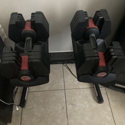 Adjustable Weight with bench 