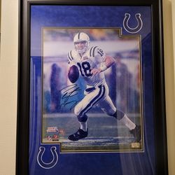 Peyton Manning 