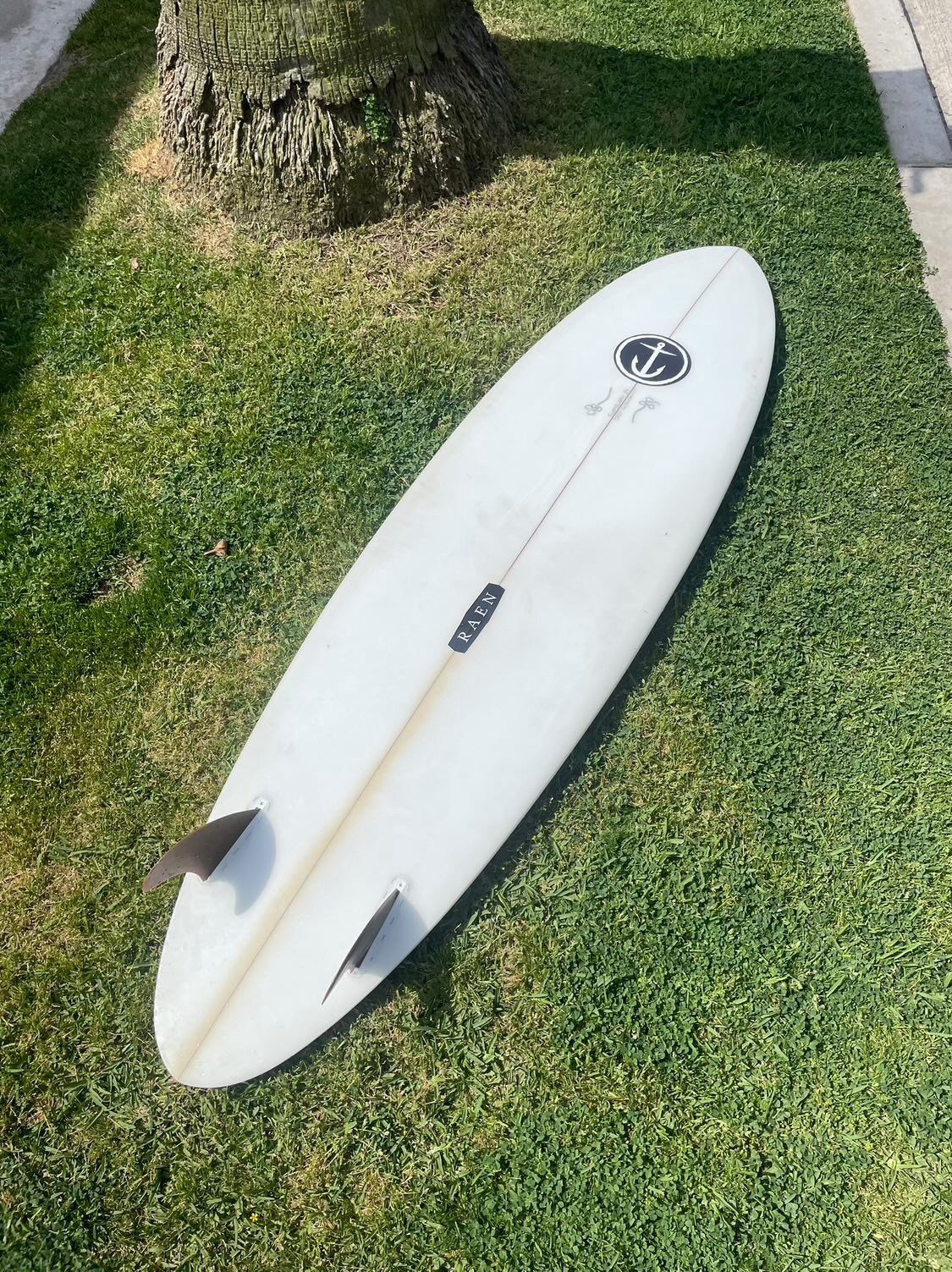6'6" Twin Pin Surfboard by Jesse Guglielmana