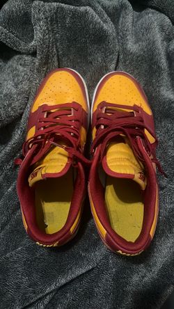 Used Size 10 Dunks