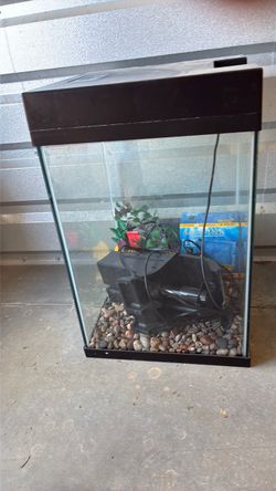 Fish Tank
