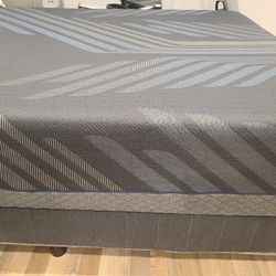 Queen Bed With Mattress 