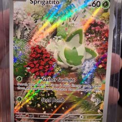 Sprigatuto Full Art Pokémon Card 