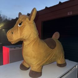 Bouncing Horse