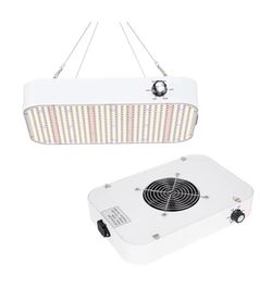 Grow light
