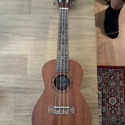 Amahi Concert Ukulele w/ Bag (Great Condition)