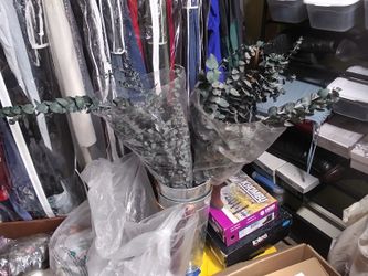 Eucalyptus One Large Green Bunch