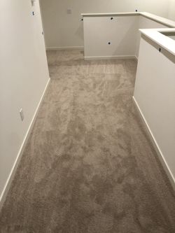 Carpet$