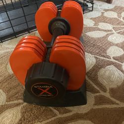 Stamina X Weights
