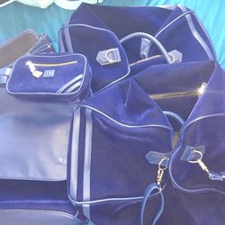 Tote & Carry Travel Set Of 4