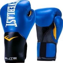 Blue Everlast Elite Boxing Gloves