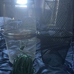 Fish Trap 