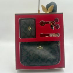 4 Pc Dark Brown Coach 