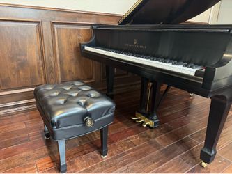 Steinway M
